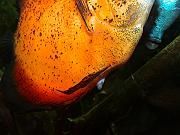 DSC00025