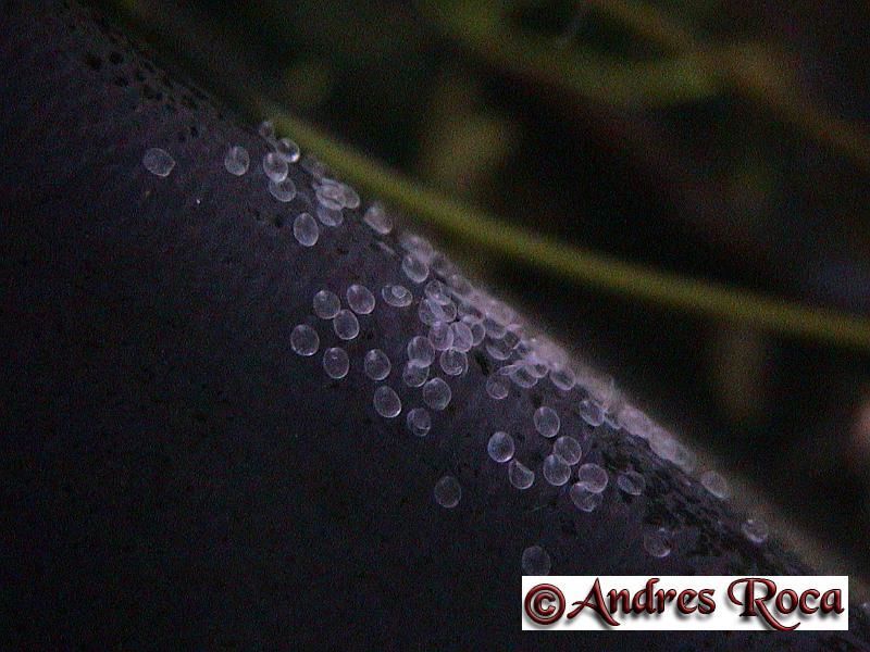 DSC00110.JPG